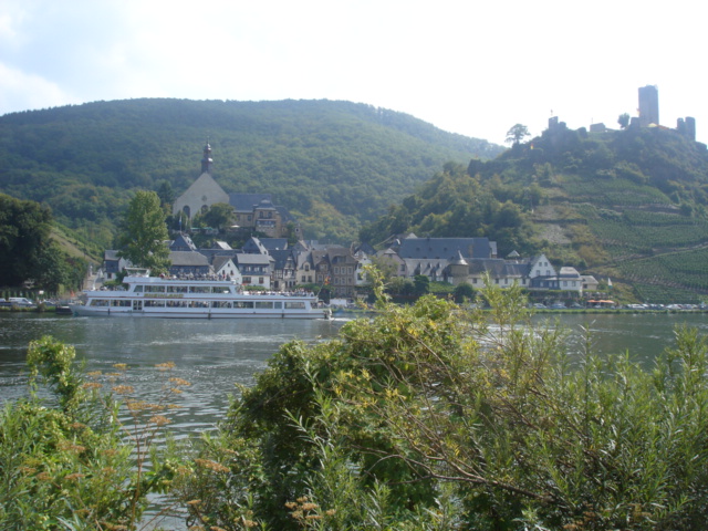 035 - PAYSAGE DES BORDS DE LA MOSELLE 16.JPG